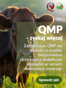 Bezpłatne webinary w systemie QMP