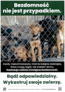 Ochrona zwierząt