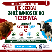 Informacja